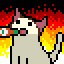 spicecat